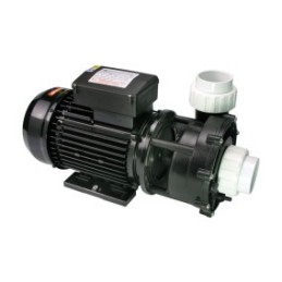 WP250-II Pump - 2.5 HP Dual Speed