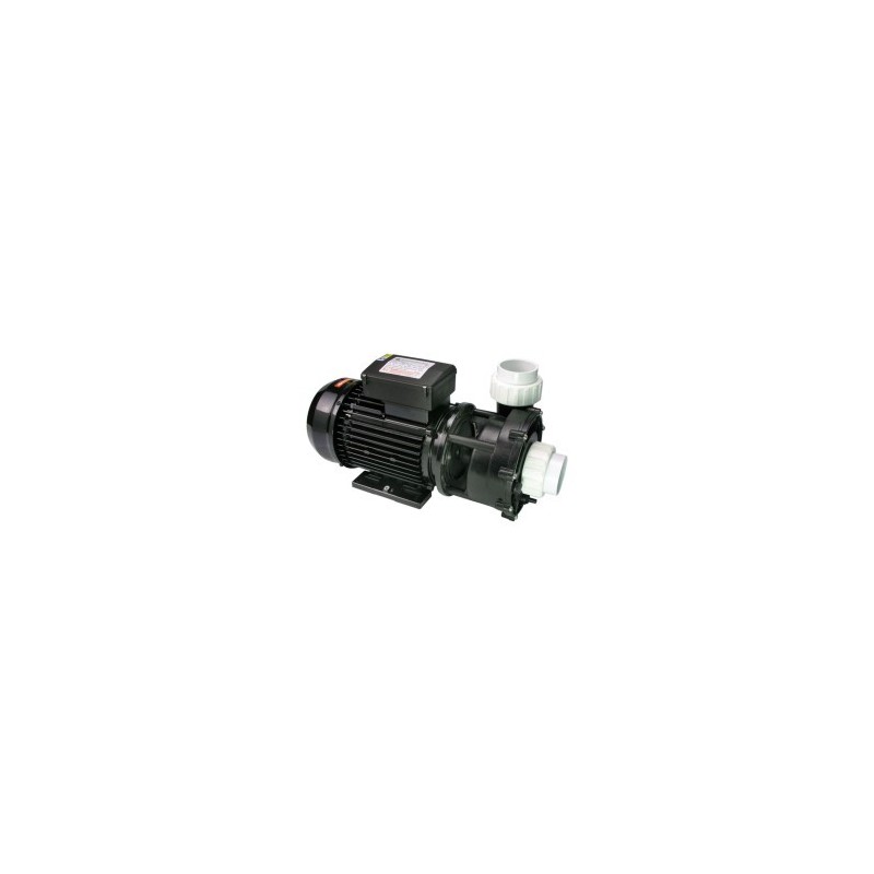 WP250-II Pump - 2.5 HP Dual Speed